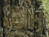 Temple Ruins Covered with Tree Roots Photographic Print by W. E. Garrett