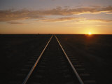 Train Tracks Through Australia Photographic Print by Richard Nowitz