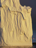 Iceberg Photographic Print by Bill Curtsinger