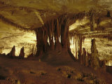 Underground View of Limestone Rock Formations in One of the Lehman Caves Photographic Print by Phil Schermeister