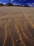 Patterns in Sand Dunes Formed by the Blowing Wind Photographic Print by Jason Edwards