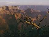 Wotans Throne Rock Formation Photographie par Walter Meayers Edwards
