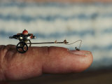 A Flea Pulls a Small Cart Along an Outstretched Finger Reprodukcja zdjęcia autor Nicole Duplaix A Flea Pulls a Small Cart Along an Outstretched Finger Reprodukcja zdjęcia autor Nicole Duplaix