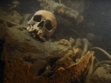 A human skull lies inside the wreckage of a German U-boat Lámina fotográfica por Brian J. Skerry A human skull lies inside the wreckage of a German U-boat Lámina fotográfica por Brian J. Skerry