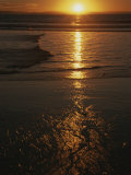 A Yellow Sunset Reflected Upon the Water at Manhattan Beach Photographic Print by Stacy Gold
