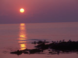 Sunrise, Bornholm, Denmark Fotografisk tryk af Tina Buckman Sunrise, Bornholm, Denmark Fotografisk tryk af Tina Buckman