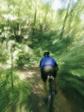 A Mountain Bicyclist Races Down a Forest Trail Photographic Print by Skip Brown