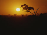 The Sun Sets over Amboseli National Reserve Photographie par Bobby Model