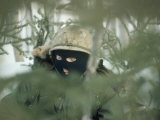 A Soldier in Full Camouflage Photographic Print by Lowell Georgia