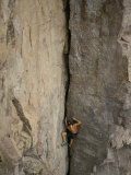 A Shirtless Rock Climber Scales an Almost Vertical Cliff Face on the North Shore of Lake Superior Photographie par Paul Chesley