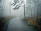 A Woman Leads Her Toddler Down a Paved Trail in the Fog Photographic Print by Randy Olson