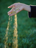 Small Glass Beads Fall Like Rain from a Womans Hand Photographic Print by Paul Chesley