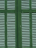 Green and White Shutters Photographie par Steve Raymer