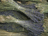 Sprigs of Lavender, Provence Region, France Photographic Print by Nicole Duplaix