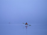 Kayakers Enjoy a Misty Morning in Walker Cove Photographic Print by Bill Curtsinger
