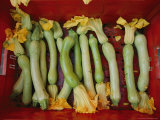 Squash, with Blossoms Still Attached, Lie in a Red Basket Photographic Print by Jodi Cobb