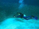 A Diver with an Underwater Camera Swims Amidst Smooth-Tailed Trevally Photographic Print