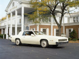 1981 Cadillac Eldorado Pierre Cardin Photographic Print