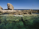 An Ocean Scene of a Rocky Promontory with Seabirds and Seals Photographie par Ed George