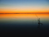 Still Waters of Lake at Twilight, Muritz National Park, Germany Photographie par Norbert Rosing