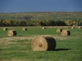 A View of Manitoba Escarpment Photographic Print by Raymond Gehman