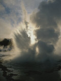 Sawmill Geyser, Upper Geyser Basin, Yellowstone National Park Photographic Print by Norbert Rosing