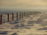 Wire Fence in a Winter Landscape Photographie par Bobby Model