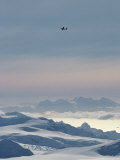 A Twin Otter Flies over Calley Glacier on the Antarctic Peninsula Photographic Print by Gordon Wiltsie