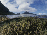 A Split-Level View of Mountains and Coral Reef Photographic Print by Randy Olson