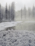 Winter View of a Wetlands in the Park Photographie par Bobby Model