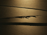 The Setting Sun Reflects off a Beach in Olympic National Park Reprodukcja zdjęcia autor Sam Abell