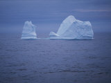 Icebergs Near the Coast of Newfoundland Photographic Print by Randy Olson