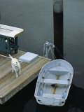 A Dog Waits on a Dock Near a Small Row Boat Photographic Print by Raymond Gehman