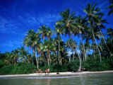 One of Many Palm Fringed Beaches on Tindare Island, Togos Os Santos Bay, Itaparica, Brazil Photographic Print by Manfred Gottschalk