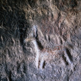 8,000 Year Old Petroglyph Detail of a Llama in the Mollepunco Caves on the Alto Plano, Peru Photographie par Wes Walker