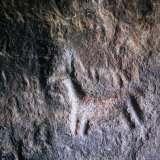 8,000 year old petroglyph detail of a Llama in rhe Mollepunco Caves on the Alto Plano, Peru Giclee Print