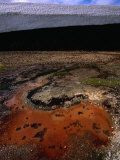 Algae Growth in Pool Near Storihiver Hot Springs, Fjallabak Nature Reserve, Sudurland, Iceland Photographie par Grant Dixon