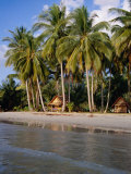 Bungalows Under Palms of Hat Kaibae, Thailand Photographie par Pershouse Craig