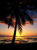 Sunset on West Coast with Silhouetted Palm Tree, Cook Islands Photographie par Manfred Gottschalk