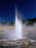Plume Geyser in the Old Faithful Area, Yellowstone National Park, Wyoming, USA Photographic Print by Carol Polich