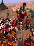 Traditional Dogon Ceremony Associated with the Finish of the Harvest, Tirelli, Mali Fotografisk tryk af Patrick Syder