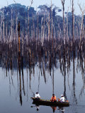 Amazon River: the Amazon River: the