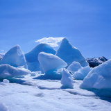 Icebergs in Alsek Lake, Glacier Bay National Park & Preserve, Alaska, USA Photographie par Wes Walker