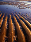 Sand Formations on Five Mile Beach, Wilsons Promontory National Park, Australia Photographic Print by Paul Sinclair