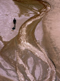 Hiker Walking along Telok Panden Kecil in Bako National Park, Sarawak, Malaysia Photographie par Mark Daffey