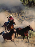 Cowboy Roping Horses Photographic Print by John Luke