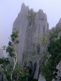 The Pinnacles Limestone Fores, from the Lookout on Gunung Api, Gunung Mulu NP, Sarawak, Malaysia Photographic Print by Mark Daffey