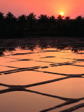 Sunset Over Rice Paddies, Goa, India Photographic Print by John Pennock