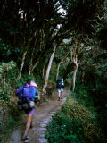 Hiker and Porter on Inca Trail to Machu Picchu Above Llulluchayoc, Cuzco, Peru Photographic Print by Mark Daffey