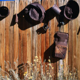 Rusted Pots and Pans from the Cerro Gordo Mine, Inyo National Forest, California, USA Photographie par Wes Walker